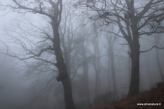 Serra Buffa Monte Crisimo